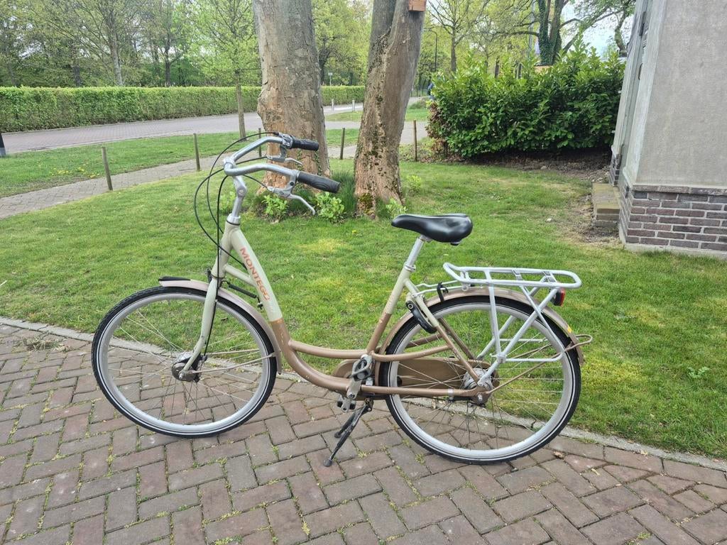 Montego moederfiets opknapper, Ophalen, Gebruikt, Overige merken, Dubbele standaard