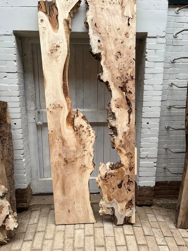 Boomschijven schaaldelen boomstamplanken wandplanken, Ophalen, Nieuw