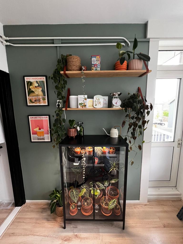 IKEA Rudsta Plantenkas met Groeilamp & Accessoires, Gebruikt, Overige materialen, Kweekkas, Ophalen