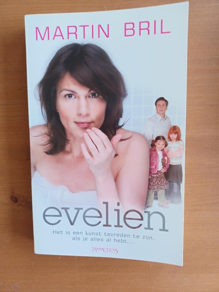 Evelien, Gelezen, Martin Bril, Ophalen of Verzenden, Eén auteur