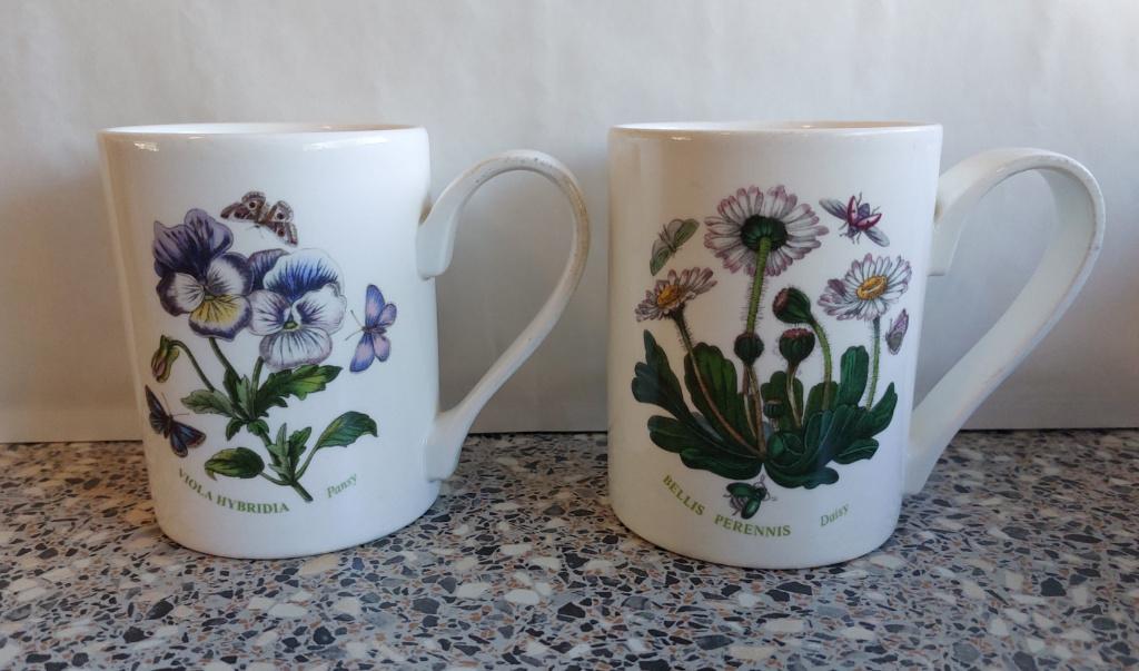 2 bekers mokken Botanic Garden Portmeirion, Ophalen of Verzenden, Zo goed als nieuw, Overige stijlen, Kop(pen) en/of Schotel(s)