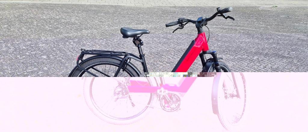 e bike Riese en Muller, Zo goed als nieuw, 47 tot 51 cm, 50 km per accu of meer, Ophalen