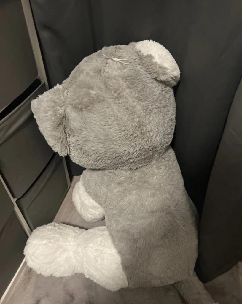 Grote Husky Knuffel - Zacht en Knuffelbaar, Grijs, Zo goed als nieuw, Groot (groter dan 80 cm), Hond