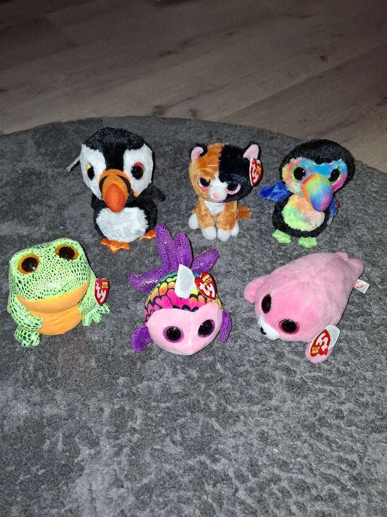 6 Ty knuffels +/- 15cm, Ophalen of Verzenden, Zo goed als nieuw, Overige typen