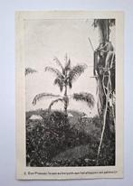 Briefkaart Posso (Midden-Celebes) - Zending, Verzenden, 1920 tot 1940, Ongelopen, Overige thema's