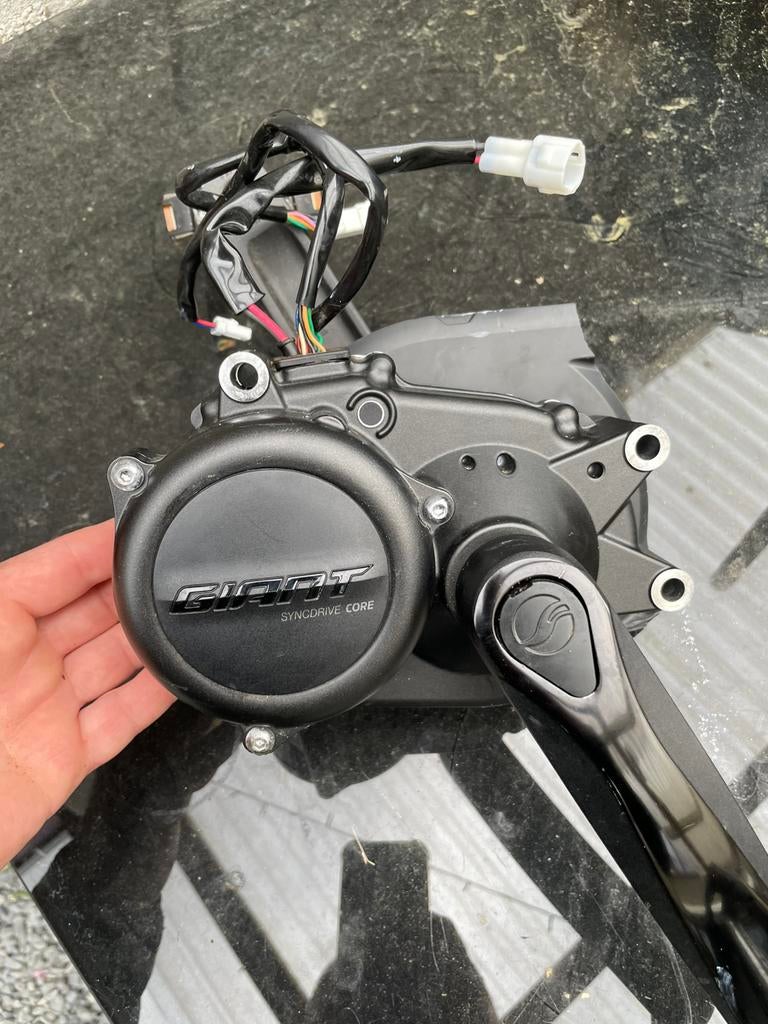 Giant middenmotor syncdrive core, Fietsen en Brommers, Fietsonderdelen, Ophalen of Verzenden, Gebruikt