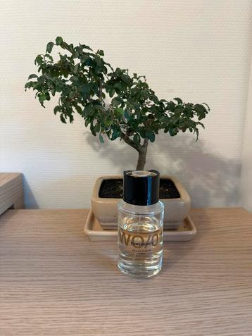 Zara WO/01 Somewoody ~70/100ml beschikbaar voor biedingen