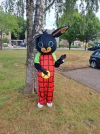 Mascotte Bing, Ophalen of Verzenden, Zo goed als nieuw, Verjaardag