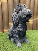 Labradoodle nr.2345, Ophalen, Nieuw, Beton, Dierenbeeld