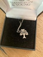 KeltischTwee x Zilveren ketting met hanger, Sieraden, Tassen en Uiterlijk, Overige voorstellingen, Nieuw, Ophalen of Verzenden