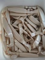 Verschillende kleuren shads 10, 12 en 15 cm, Ophalen of Verzenden, Nieuw, Overige typen