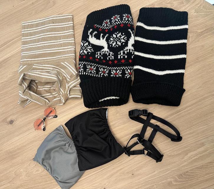 Dierenkleding en accessoires kleine hond (XS-XXS) (nieuw), Dieren en Toebehoren, Honden-accessoires, Nieuw, Verzenden