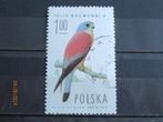 POSTZEGEL  POLEN - VOGEL   =1010-A=, Ophalen of Verzenden, Polen, Gestempeld