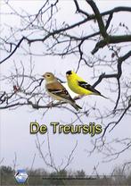 Treursijs pop, Dieren en Toebehoren, Vogels | Overige Vogels, Vrouwelijk