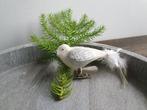 Vintage kerstbal vogeltje op clip 198, *, Gebruikt, *, Ophalen of Verzenden