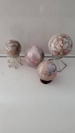 Bloemagaat bollen uitzoeken KORTING, Ophalen of Verzenden