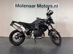 BMW F900 GS (bj 2025), Bedrijf, Meer dan 35 kW, Overig, 2 cilinders