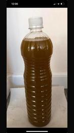 Pure olijfolie, Overige kleuren, Ophalen of Verzenden, Minder dan 50 cm, Glas