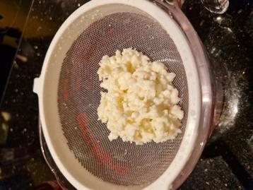 Melkkefir. beschikbaar voor biedingen