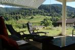 Chalet en appartement  6p+hond. 4**** Zwitserland Wallis Aug, Wasmachine, Dorp, In bos, Appartement