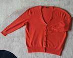 prachtig cashmere vest van Magashoni, S, nauwelijks gedragen, Kleding | Dames, Magashoni, Oranje, Ophalen of Verzenden, Zo goed als nieuw