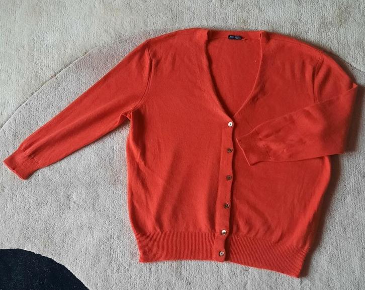 prachtig cashmere vest van Magashoni, S, nauwelijks gedragen, Kleding | Dames, Truien en Vesten, Zo goed als nieuw, Maat 36 (S)