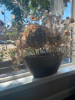 Bronze bloempot, Ophalen of Verzenden, Herfst, Volle zon, Overige soorten