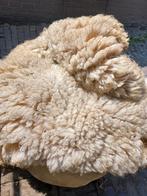 Verse ongewassen schapenwol - schapen wol, Ophalen, Nieuw, Spinwol