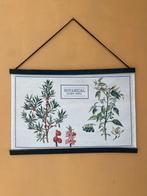 Canvas posters - plant, Ophalen, Gebruikt, Print, Minder dan 50 cm
