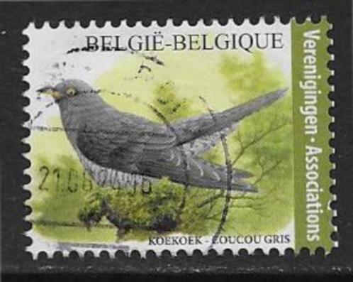 België 2021   Vogel  Koekoek   5037, Postzegels en Munten, Postzegels | Europa | België, Gestempeld, Verzenden
