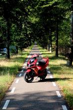 Peugeot speedfight 2 geel kenteken Koso teller!, Fietsen en Brommers, Scooters | Peugeot, Tweetakt, Maximaal 45 km/u, Ophalen of Verzenden