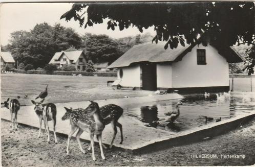 HILVERSUM Hertenkamp, Verzamelen, Ansichtkaarten | Nederland, Gelopen, Noord-Holland, 1980 tot heden, Verzenden