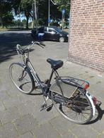 Pointer dames fiets, 51 tot 55 cm, Ophalen
