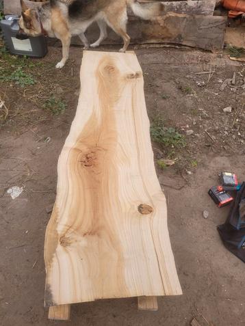Schaaldeel boomstamtafel sidetable IEP GEDROOGD+GESCHAAFD!!! beschikbaar voor biedingen