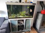 Discus aquarium  120 cm breed, Dieren en Toebehoren, Gebruikt, Ophalen, Gevuld zoetwateraquarium