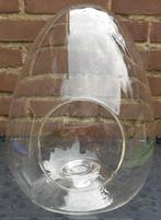 Succulente ei-vormige glazen vaas terrarium, Ophalen of Verzenden