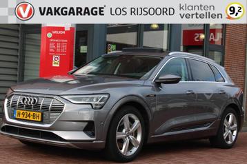 AUDI E-Tron 50 Quattro *Launch Plus* | Trekhaak | Carplay |  beschikbaar voor biedingen