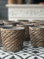 Ikea Druvfläder plantenpotjes - 14 stuks, Tuin en Terras, Kunststof, Gebruikt, Rond, Binnen