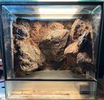 Ingericht terrarium, Dieren en Toebehoren, Ophalen, Gebruikt, Terrarium of Paludarium