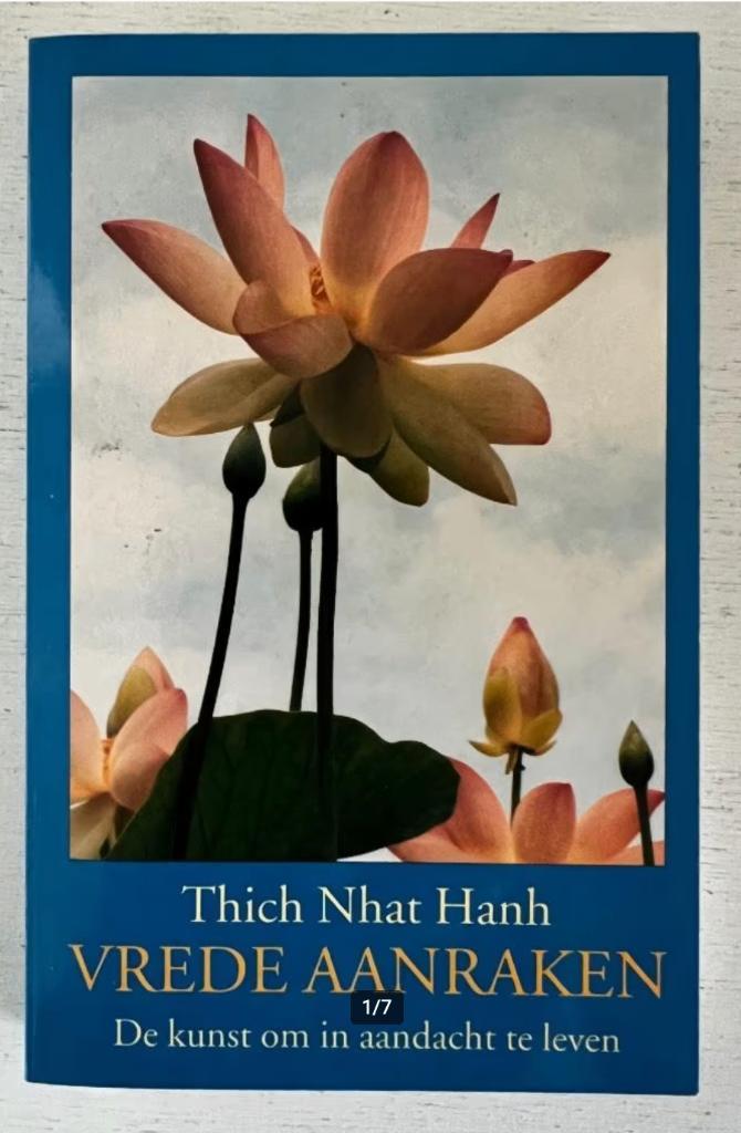 Vrede aanraken - de kunst om in aandacht te leven, Boeken, Esoterie en Spiritualiteit, Zo goed als nieuw, Overige typen, Overige onderwerpen