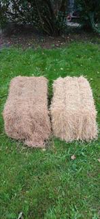 Hooibaaltjes 250 stuks, Dieren en Toebehoren, Dierenvoeding, Ophalen