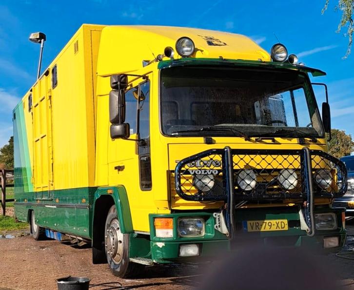 Volvo FL614 paardenvrachtwagen, Dieren en Toebehoren, Paarden en Pony's | Trailers en Aanhangwagens, Gebruikt, Overige typen, Overige materialen