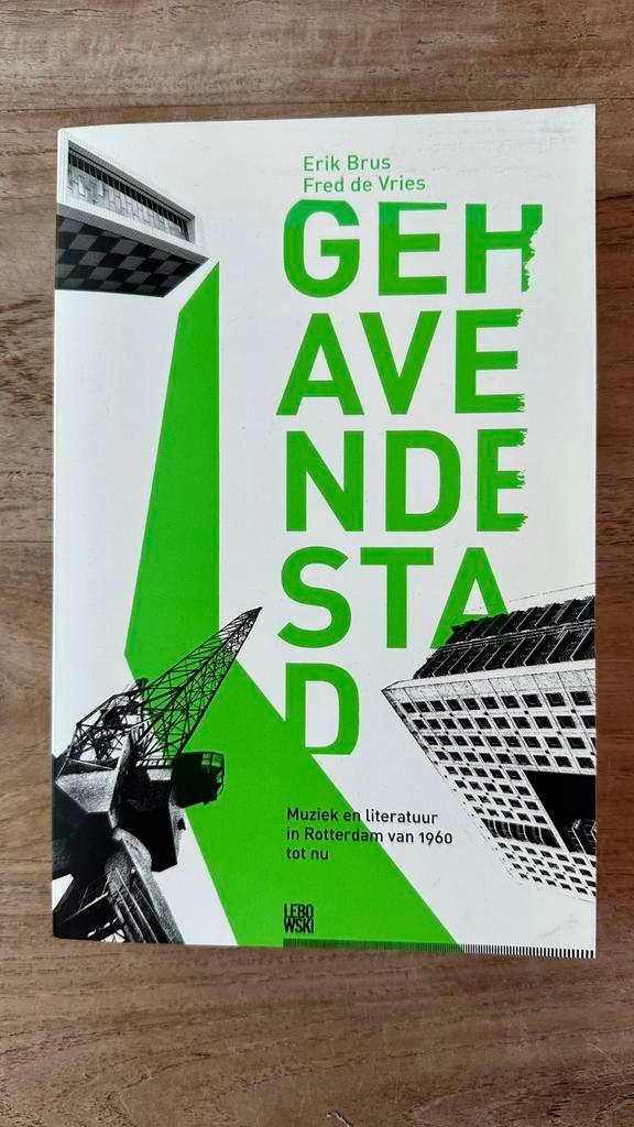 Erik Bus & Fred de Vries - Gehavende stad, Boeken, Overige Boeken, Zo goed als nieuw, Ophalen of Verzenden