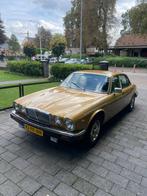 Jaguar XJ 5.3 L AUT 1982 Bruin, Auto's, Automaat, 295 pk, Zwart, Particulier