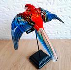 Opgezette Rosella, Ophalen of Verzenden, Nieuw, Vogel, Opgezet dier