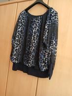 Mooie blouse /tuniek  maat 44, Ophalen of Verzenden, Gedragen, Maat 42/44 (L), Blauw