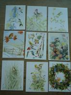 Vogels ijsvogel roodborstje pimpelmees Marjolein Bastin, Ophalen of Verzenden, Voor 1920