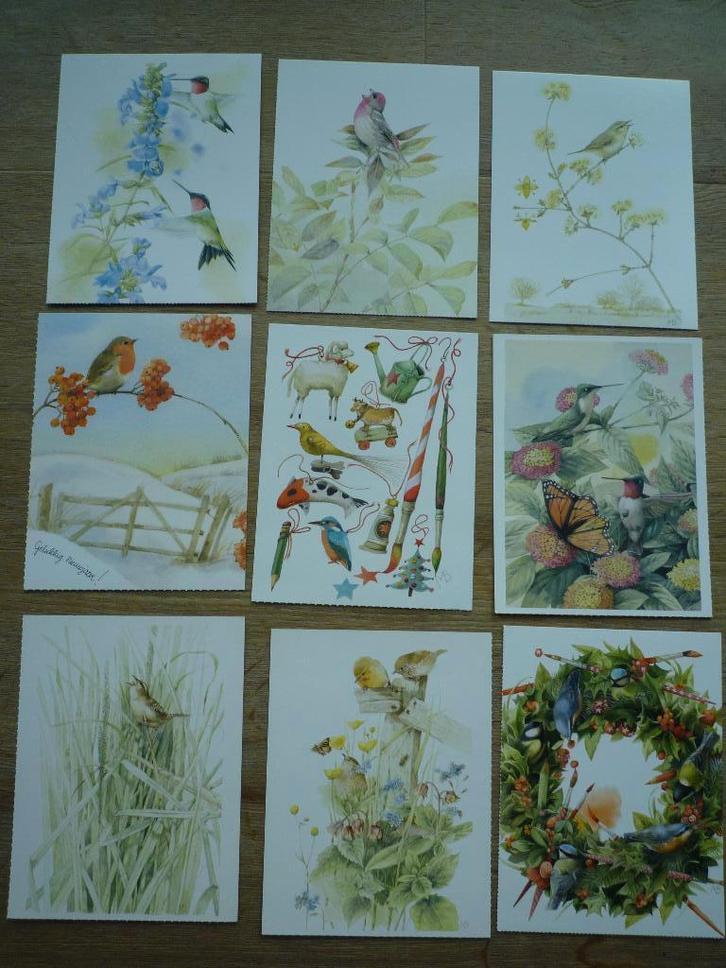 Vogels ijsvogel roodborstje pimpelmees Marjolein Bastin, Verzamelen, Ansichtkaarten | Themakaarten, Voor 1920, Ophalen of Verzenden