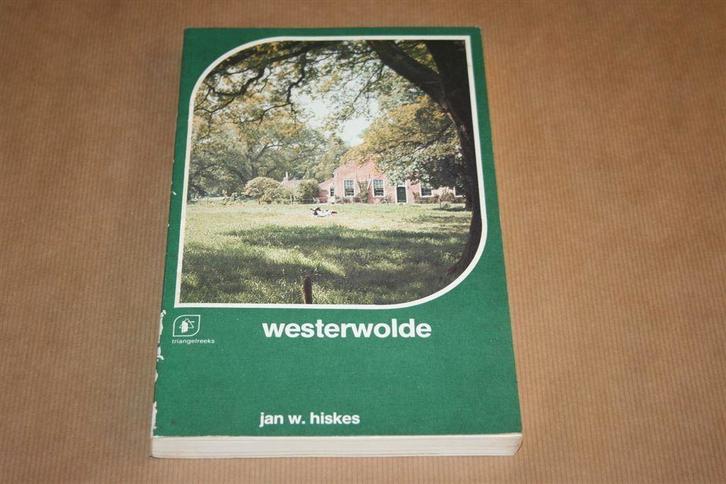 Westerwolde, Boeken, Geschiedenis | Stad en Regio, Zo goed als nieuw, Ophalen of Verzenden
