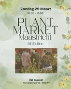 Plantenmarkt Maastricht, Ophalen, Halfschaduw, Minder dan 100 cm